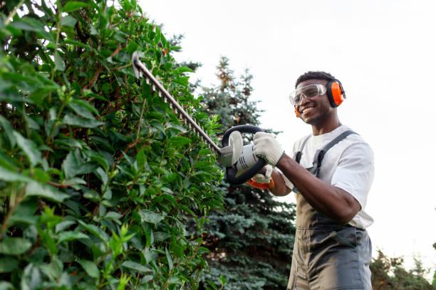 Person doing yard work